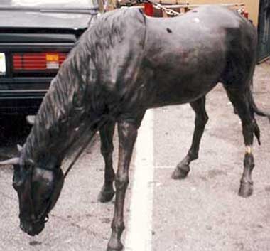 Fixed Bronze Pony